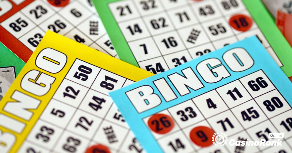 Learn How To Play Bingo Online